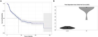 Strength of spatial correlation between gray matter connectivity and patterns of proto-oncogene and neural network construction gene expression is associated with diffuse glioma survival